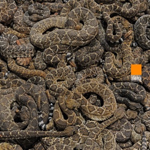 Ouroboros