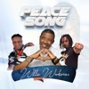 Peace Song (feat. Faya & King Salvage) - EP