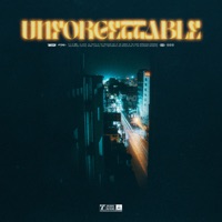 UNFORGETTABLE (Extended Mix) - Single - DJ Katch