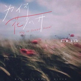 为何花不开 陈小满 & 孙才垣