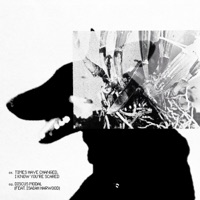 TIMES HAVE CHANGED, I KNOW YOU'RE SCARED - Single - Sam Pine