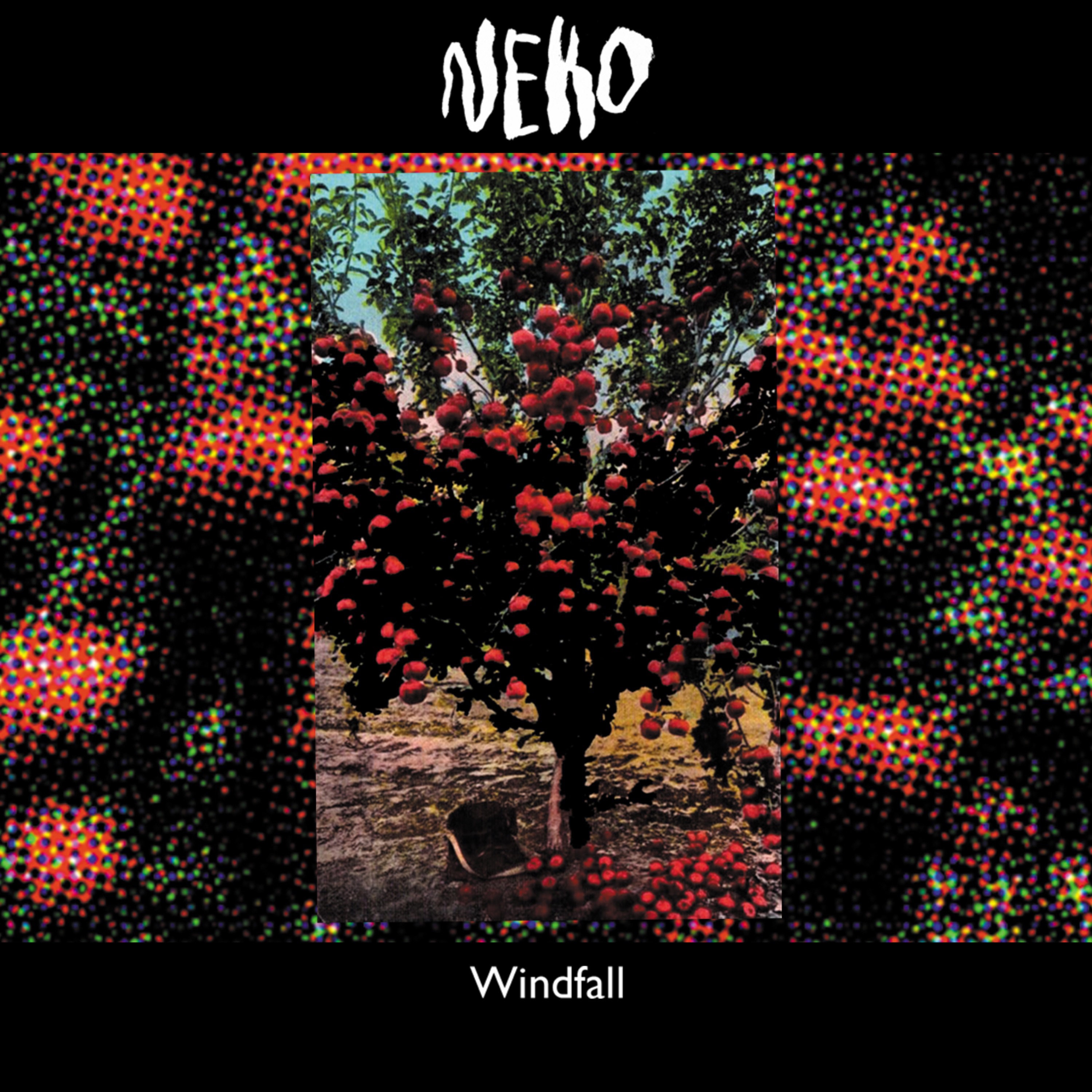 Windfall - EP