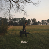 Hollow