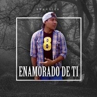 Enamorado de Ti (feat. Renu) - Single - Brandier