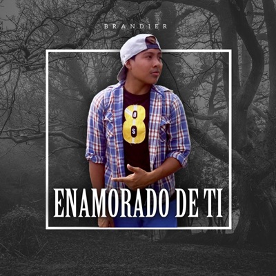 Enamorado de Ti (feat. Renu) - Single