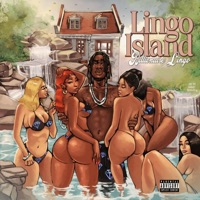 Lingo Island - Billionaire Lingo