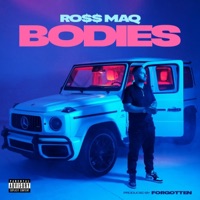 Bodies (Radio Edit) - Single - Ross Maq