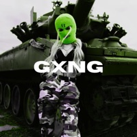 GXNG (feat. 2viral tyla) - Single - thevillain267