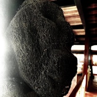 NO DISRESPECT (feat. V14) - Single - Puppetflip