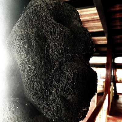 NO DISRESPECT (feat. V14) - Single