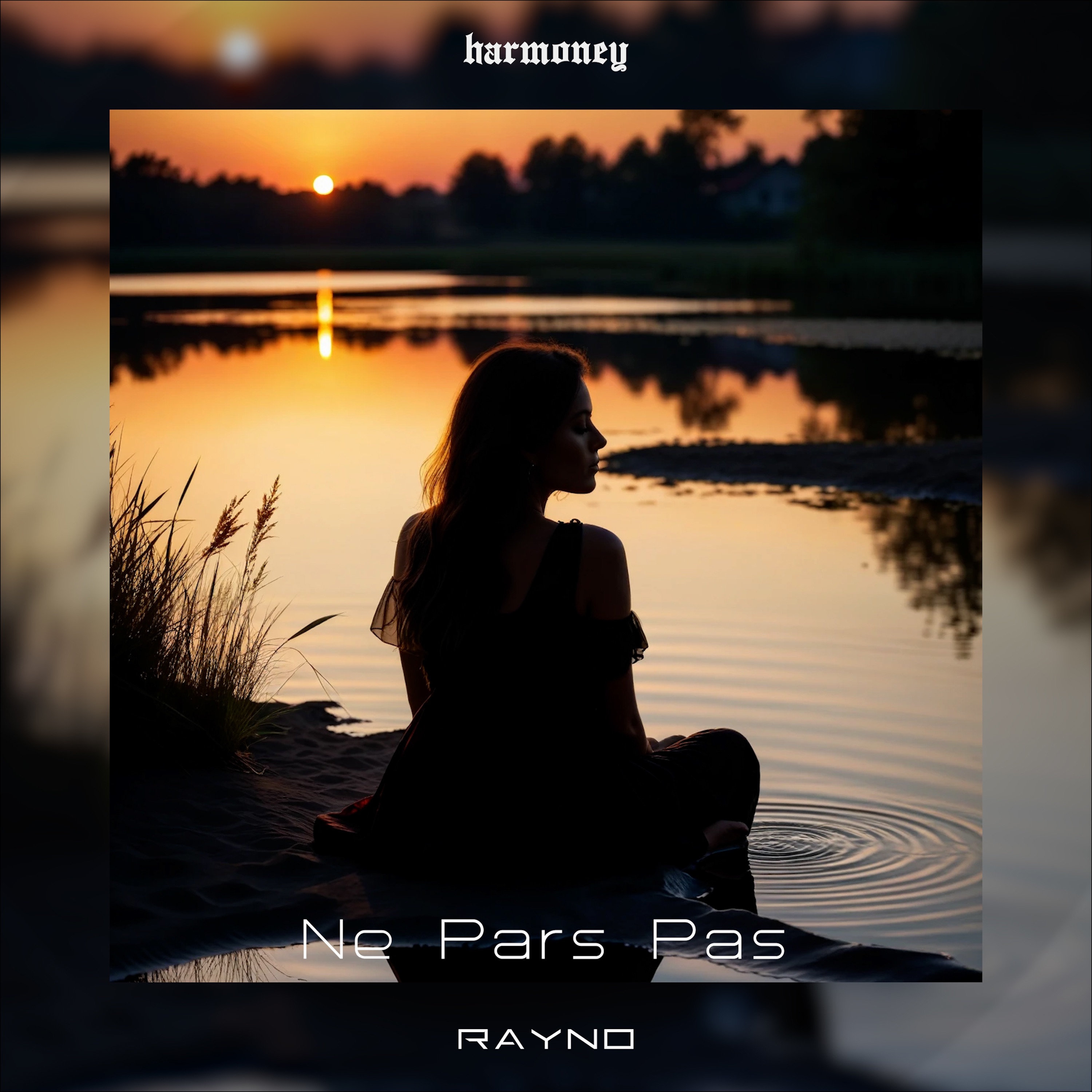 Ne Pars Pas - Single