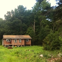 Wild Harvest (feat. Samir Chatterjee, Raphaël Pannier & Utsav Lal) - Single - Xander Naylor