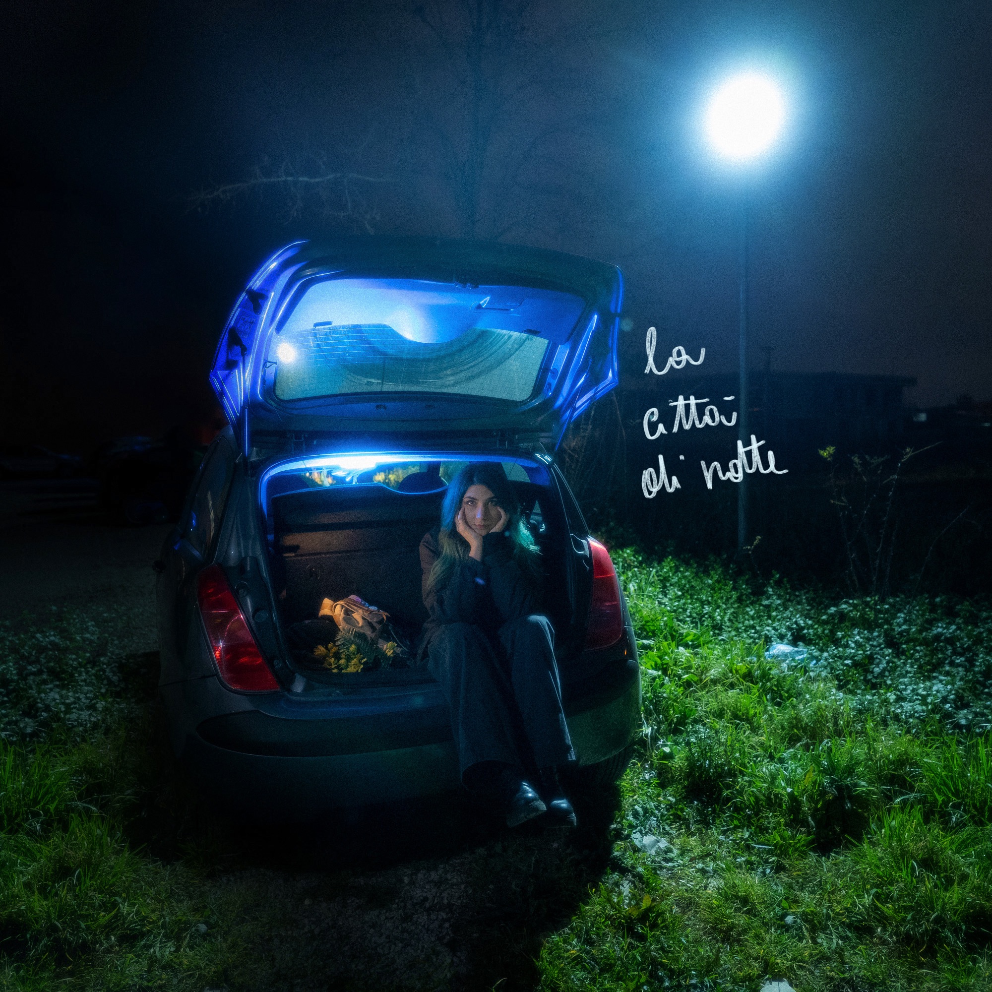 LA CITTÀ DI NOTTE (feat. junksleep) - Single