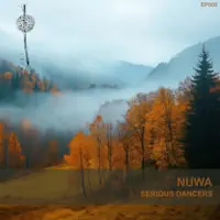 Serious Dancers
