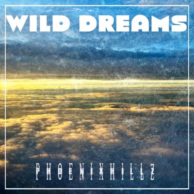 Wild Dreams (feat. B!B!, BigBoiNate, Seunathan, Juseinny & IDJ) - Single
