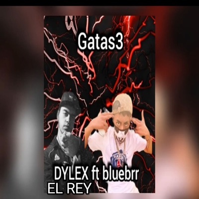 Gatas3 (feat. Bluebrr) - Single