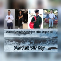 Perfek Vir My (feat. Sound Geek, YJ & Ello Jay) - Single - RJay