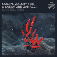 Nah Tell Dem - Single - Sanjin, Walshy Fire & Salvatore Ganacci
