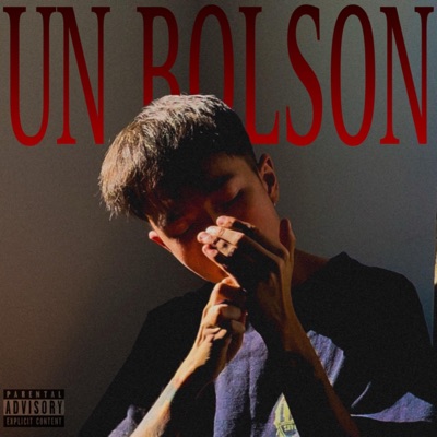 UN BOLSON - Single