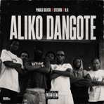 ALIKO DANGOTE (feat. BLVCK SESSION) - Single