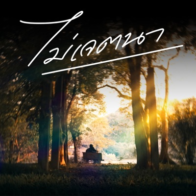 ไม่เจตนา (feat. BLUE WAVE) - Single