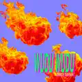 Wudu
