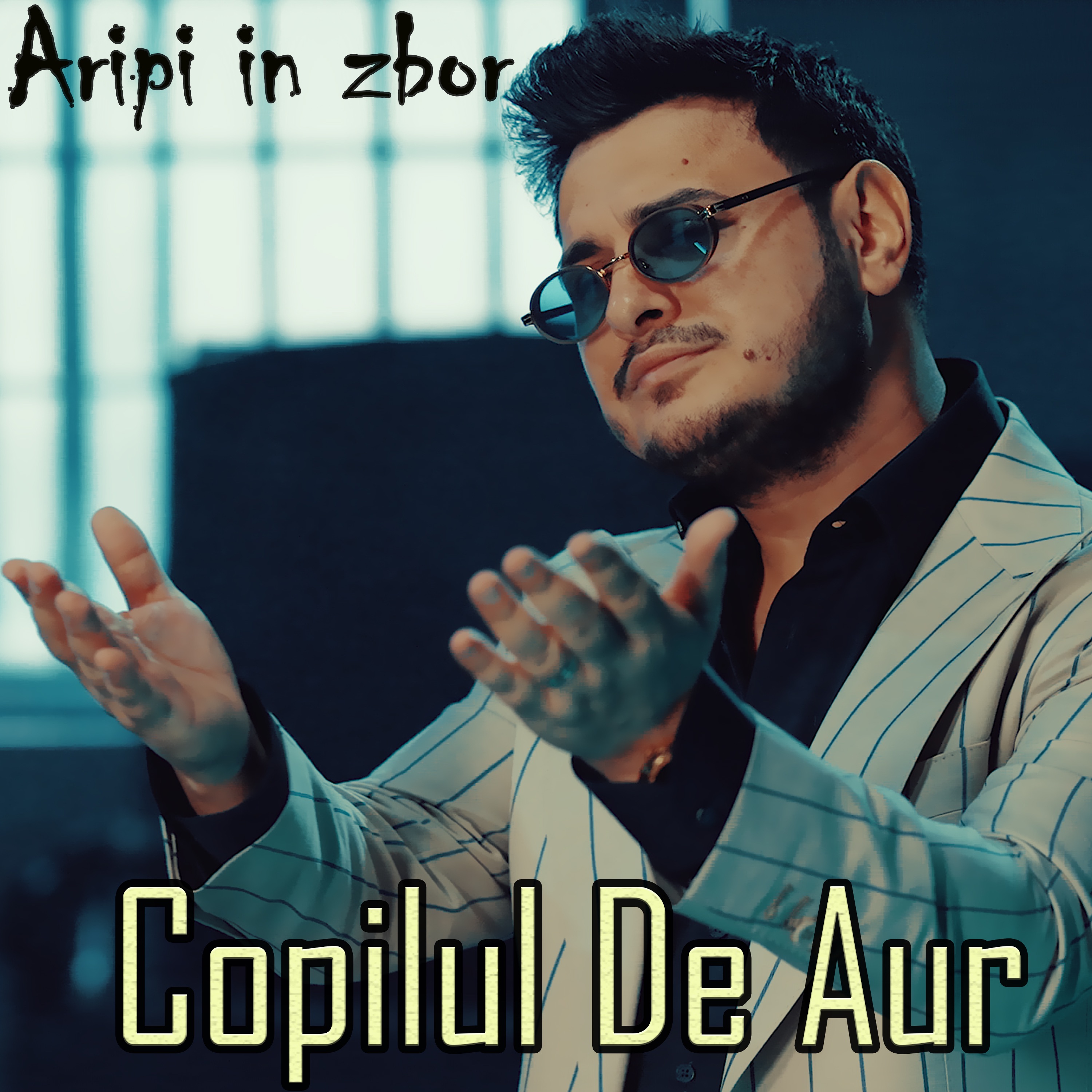 Aripi in zbor - Single