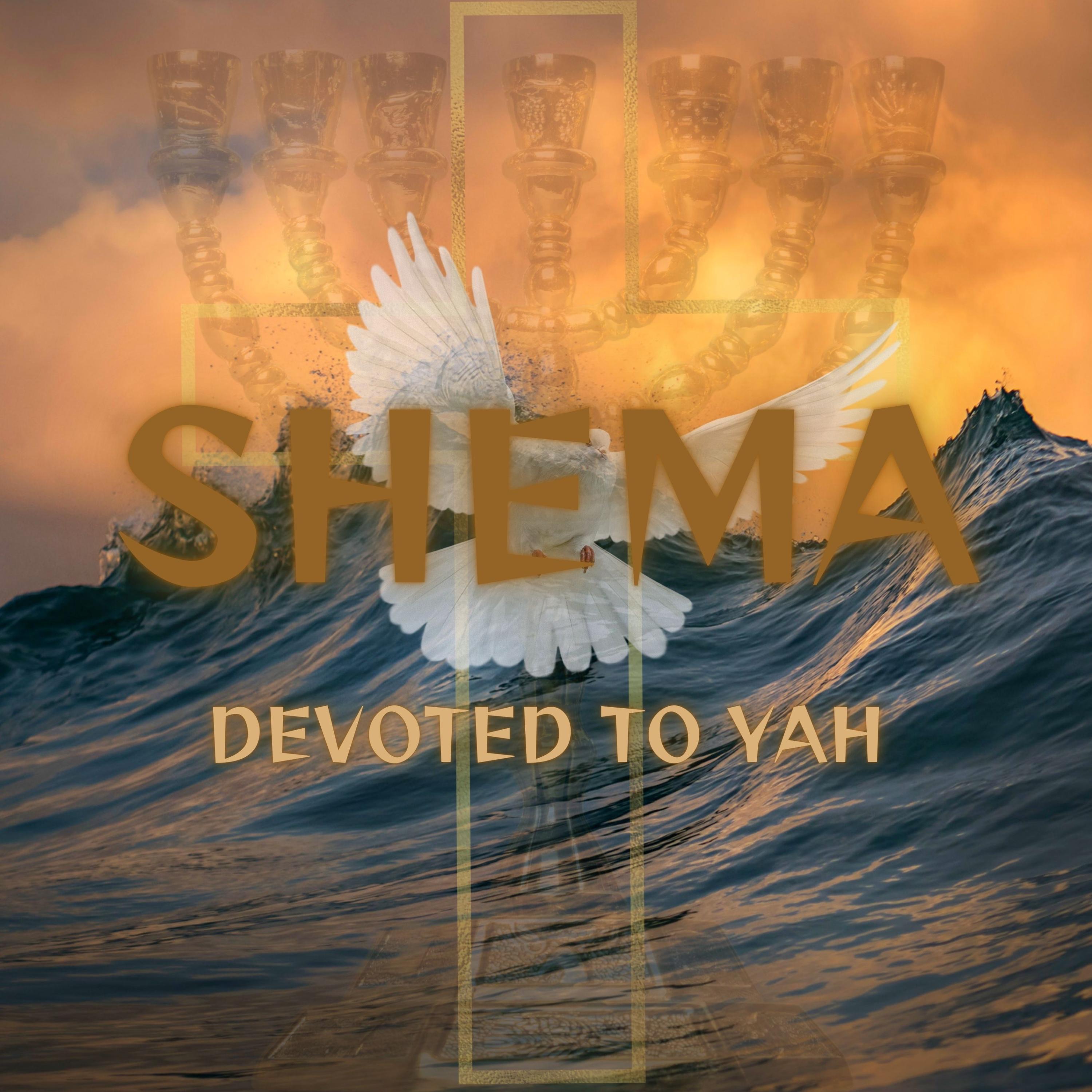 Shema - Single