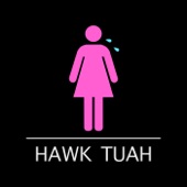 Hawk Tuah artwork