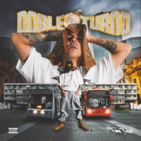 RUGER 9MM - Single - Franz Ferre