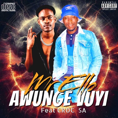 Awunge Vuyi (feat. Mr Ello) - Single