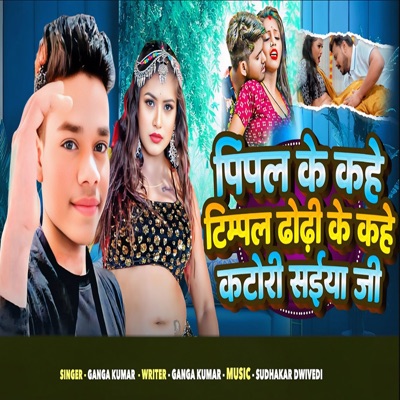pimpal ke kahe timpal thondi ke kahe katori saiya ji - Single