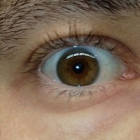 In the Civic (Edit) - Single - Ty & Frito