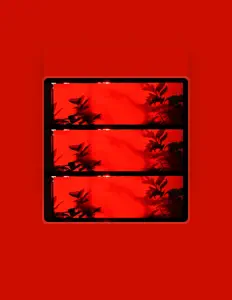 Dengarkan Lucky Done Gone, tonton video musik, baca bio, lihat tanggal tur & lainnya!