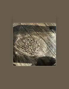 收听 Aslanup、观看音乐视频、阅读小传、查看巡演日期等 ！