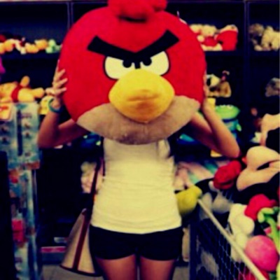 slightly mad birds (≧▽≦)