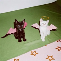 She still in her bennys phase (feat. ADT kannastar) - Single - Haunted hex