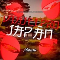 Viajei pro Japão - Single - DJ Szx Original, MC Hanan & MC BM OFICIAL