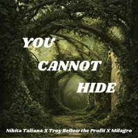 You Cannot Hide (feat. Troy Bellow the Profit & Milagro) - Single - Nikita Taliana