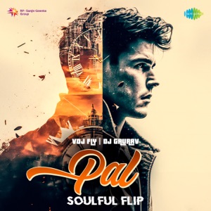 Pal (Soulful Flip)