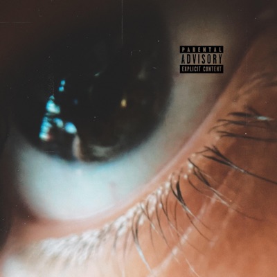 VICIOUS (feat. AIDAN) - Single