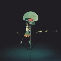 Not Love - Single - Tropixal