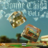 Donde Caíga Vol. 1 EN VIVO - Luis Ayala