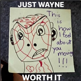 Worth It Just Wayne