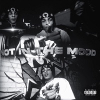 Not In The Mood - Single - HoodStarDotty