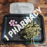 1 Pharmacy - Single - MopoNeck