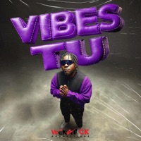 Vibes Tu (Style Up) - Single - Didi Man
