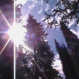 Did It Better Burstkz