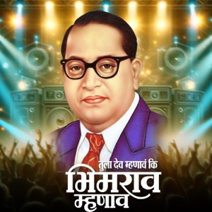 Tula Dev Mhanav Ki Bhimrao Mhanav