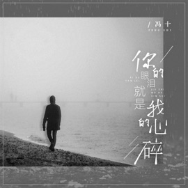 你的眼泪就是我的心碎 (男版) 冯十